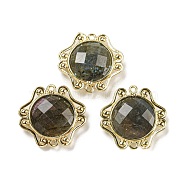 Natural Labradorite Faceted Connector Charms, Rack Plating Golden Plated Brass Oval Links, 23x23.5x6~6.5mm, Hole: 1.5mm(G-M431-09G-02)