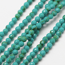 Imported Natural Turquoise Bead Strands, Faceted Round, 3mm, Hole: 0.8mm, about 128pcs/strand, 15 inch(X-G-A129-3mm-32)