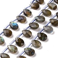 Natural Labradorite Beads Strands, Top Drilled Beads, Faceted, Teardrop, 12~12.5x8.5~9x4~5mm, about 32pcs/strand, 14.9 inch~16.1 inch(38~41cm)(G-I246-09-A)