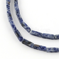 Cuboid Natural Blue Spot Gemstone Bead Strands, 11~14x4~5x4~5mm, Hole: 1mm, about 29~31pcs/strand, 15.3 inch(G-R299-04)