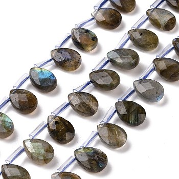 Natural Labradorite Beads Strands, Top Drilled Beads, Faceted, Teardrop, 12~12.5x8.5~9x4~5mm, about 32pcs/strand, 14.9 inch~16.1 inch(38~41cm)