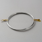 316 Stainless Steel Wires, Round, Stainless Steel Color, 0.3mm, about 32.81 Feet(10m)/Roll(TWIR-WH0002-23C-P)