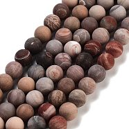 Frosted Natural Petrified Wood Round Bead Strands, 8mm, Hole: 1mm, about 45pcs/strand, 15.08 inch(38.3cm)(G-F266-07-8mm-01)