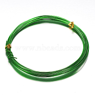Round Aluminum Craft Wire, for DIY Arts and Craft Projects, Green, 10 Gauge, 2.5mm, 5m/roll(16.4 Feet/roll)(AW-D009-2.5mm-5m-25)