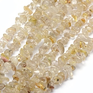 Natural Gold Rutilated Quartz Beads Strands, Chip, 5~8mm, Hole: 1mm, about 33 inch(84cm)(G-P332-31)