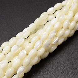 Natural Trochid Shell/Trochus Shell Beads Strands, Oval, Creamy White, 6~7x4~5mm, Hole: 0.8mm, about 60pcs/strand, 15.75 inch(X-SSHEL-K008-06)
