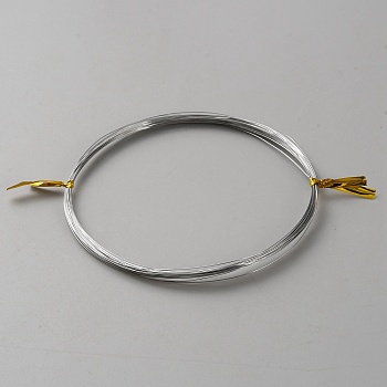 316 Stainless Steel Wires, Round, Stainless Steel Color, 0.3mm, about 32.81 Feet(10m)/Roll