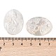 Natural White Shell Cabochons(SSHEL-C012-02)-3