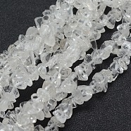 Natural Quartz Crystal Beads Strands, Rock Crystal Beads, Grade A, Chip, 5~8mm, Hole: 1mm, about 33 inch(84cm)(G-P332-43)