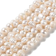 Natural Cultured Freshwater Pearl Beads Strands, Potato, Grade AB, PapayaWhip, 8~9x7~8mm, Hole: 0.8mm, about 43pcs/strand, 12.87''(32.7cm)(PEAR-E018-08)