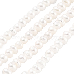 Natural Cultured Freshwater Pearl Beads Strands, Potato, Floral White, 2.5~3mm, Hole: 0.5mm, about 82~83pcs/strand, 7.09 inch(18cm)(PEAR-C003-06G)