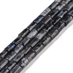 Natural Larvikite Beads Strands, Column, 7.5~8.5x5~6mm, Hole: 1mm, about 45~46pcs/strand, 14.69~15.04 inch(37.3~38.2cm)(G-C128-A03-01)