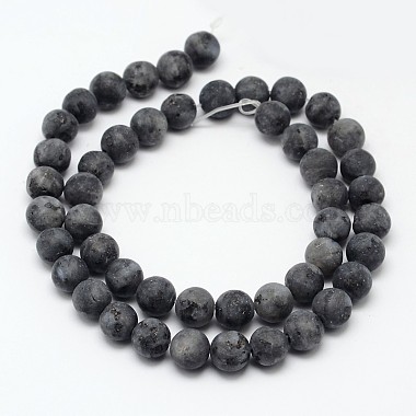 Natural Larvikite Beads Strands(X-G-D692-10mm)-2