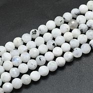 Natural Moonstone Beads Strands, Round, Faceted(128 Facets), Alice Blue, 6mm, Hole: 0.8mm, about 64pcs/strand, 15.35 inches(39cm)(G-K310-A10-6mm)