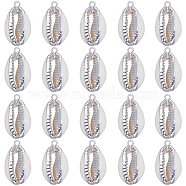 20Pcs Electroplated Natural Cowrie Shell Pendants, Shell Charm with Iron Findings, Platinum, 18~24x10~14x6~7mm, Hole: 1.5mm(SHEL-SC0001-30)