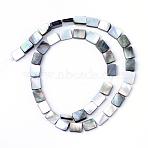 Natural Black Lip Shell Bead Strands, Rectangle, 9.5~10x7.5~8x3~4mm, Hole: 0.5mm(SHEL-S249-34)