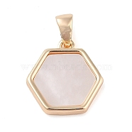 Brass Pave Shell Hexagon Charms, Real 18K Gold Plated, 13.5x12.5x2.5mm, Hole: 3x2mm(KK-Q816-02G)