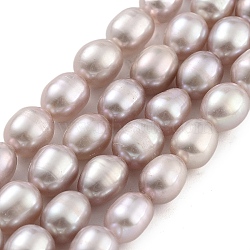 Natural Cultured Freshwater Pearl Beads Strands, Rice, Grade AA+, Thistle, 5~6mm, Hole: 0.7mm, about 26pcs/strand, 7.09''(18cm)(PEAR-P062-06C-1)