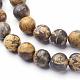 Natural Gemstone Leopard Skin Jasper Round Beads Strands(G-A130-2mm-24)-2