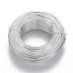 Round Anodized Aluminum Wire, Bendable Metal Craft Wire, for DIY Jewelry Craft Making, Silver, 10 Gauge, 2.5mm, about 91.86 Feet(28m)/400g(AW-F004-2.5mm-01)