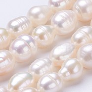 Natural Cultured Freshwater Pearl Beads Strands, Rice, Seashell Color, 9~11x8~9mm, Hole: 0.5mm, about 35~36pcs/strand, 14 inch(PEAR-P002-27)