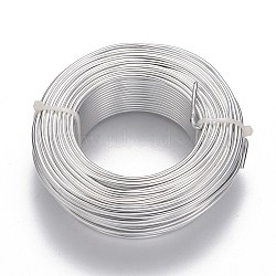 Round Anodized Aluminum Wire, Bendable Metal Craft Wire, for DIY Jewelry Craft Making, Silver, 10 Gauge, 2.5mm, about 91.86 Feet(28m)/400g(AW-F004-2.5mm-01)