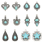 12Pcs 6 Styles Imitation Turquoise Resin Pendants, with Antique Silver Tone Zinc Alloy Findings, Mixed Shapes, 22~28x12~23mm, 2pcs/style(FIND-SZ0019-78)