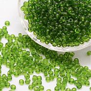 8/0 Glass Seed Beads, Grade A, Round, Transparent Colours, Green, 2.8~3.2mm, Hole: 1.0mm, about 15000pcs/pound(SEED-J013-F8-14)