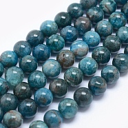 Natural Apatite Beads, Round, 10mm, Hole: 1mm, about 135pcs/250g(G-E481-05-10mm)