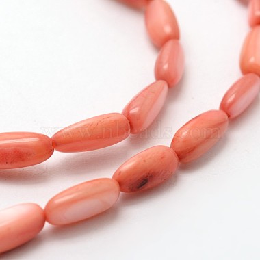Dyed Oval Natural Freshwater Shell Beads Strands(SHEL-E356-M)-3