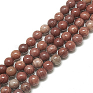 Natural Wood Lace Stone Beads Strands, Round, 8~8.5mm, Hole: 1mm, about 45~46pcs/strand, 14.8~15.2 inch(G-S300-108-8mm)
