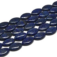 Natural Lapis Lazuli Beads Strands, Horse Eye, 20x12~12.5x6mm, Hole: 1mm, about 20pcs/strand, 15.16''(38.5cm)(G-K311-08A)
