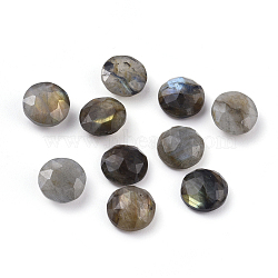 Natural Labradorite Cabochons, Faceted, Flat Round, 10x4.5mm(G-G835-A01-02)