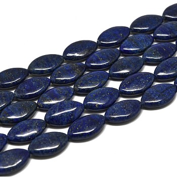Natural Lapis Lazuli Beads Strands, Horse Eye, 20x12~12.5x6mm, Hole: 1mm, about 20pcs/strand, 15.16''(38.5cm)