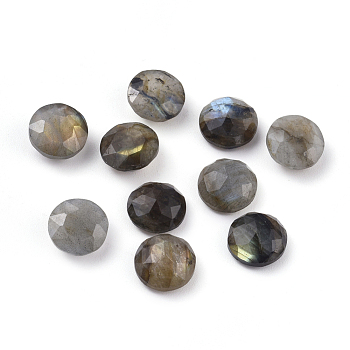 Natural Labradorite Cabochons, Faceted, Flat Round, 10x4.5mm