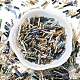 Glass Twist Bugle Beads(SEED-XCP0001-43)-2
