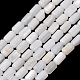 Natural Freshwater Shell Beads Strands(SH-CBA2978-21A)-1