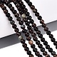 Natural Biotite Beads Strands(G-Q616-01A)-1
