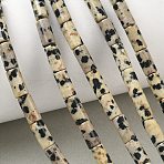 Natural Dalmatian Jasper Beads Strands, Column, 8x4mm, Hole: 1mm, about 49pcs/strand, 15.35''(39cm)(G-B091-A19-01)