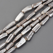 Spray Painted Natural Freshwater Shell Beads Strands, Shell Shards, Nugget Stick, Gainsboro, 15~20x5~13x3~10mm, Hole: 0.8mm, about 23pcs/strand, 15.35 inch~17.32 inch(39~44cm)(X-SHEL-S276-90A)