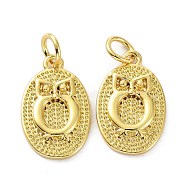 Brass Pendants, with Jump Ring, Long-Lasting Plated, Textured, Oval with Owl, Real 18K Gold Plated, 16x10x2mm, Hole: 3mm(KK-B046-11G)