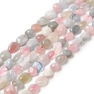 Natural Morganite Beads Strands, Tumbled Stone, Nuggets, 10~11x7~8x5~6mm, Hole: 0.8mm, about 37pcs/Strand, 15.75 inch(40cm)(G-O186-B-03)