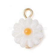 Natural Freshwater Shell Flower Charms with Golden Plated 304 Stainless Steel Loops, WhiteSmoke, 13.5x10x2.5mm, Hole: 2mm(PALLOY-JF02444)
