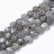 Natural Labradorite Beads Strands, Star Cut Round Beads, Faceted, 6.5mm, Hole: 1mm, about 65pcs/strand, 15.75 inch(40cm)(G-R465-33A)