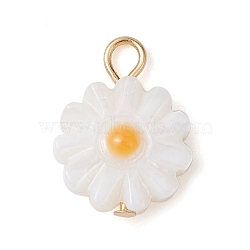 Natural Freshwater Shell Flower Charms with Golden Plated 304 Stainless Steel Loops, WhiteSmoke, 13.5x10x2.5mm, Hole: 2mm(PALLOY-JF02444)