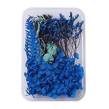Dried Flowers, DIY Candle Soap Making Accessories, with Plastic Rectangle Box, Blue, 2.4~15x1.7~9.7cm