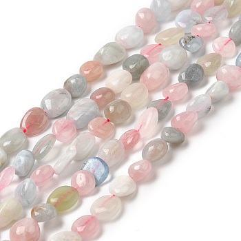 Natural Morganite Beads Strands, Tumbled Stone, Nuggets, 10~11x7~8x5~6mm, Hole: 0.8mm, about 37pcs/Strand, 15.75 inch(40cm)