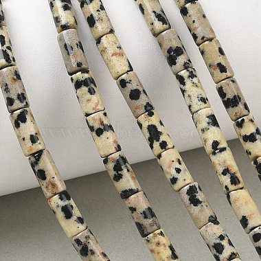 Natural Dalmatian Jasper Beads Strands(G-B091-A19-01)-1