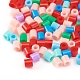 Kits de perles de fusible bricolage(DIY-RD0001-07)-4
