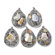 Baroque Natural Freshwater Shell Polymer Clay Rhinestone Big Pendants, Teardrop Charms with Platinum Plated Brass Snap on Bails, Black, 54x41x12.5mm, Hole: 6x4.5mm(BSHE-P033-15A)